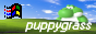 puppygrass